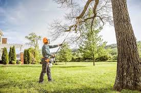 Snellville, GA  Tree Services Company